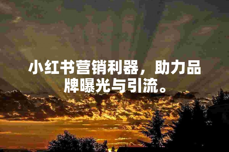 小红书营销利器，助力品牌曝光与引流。