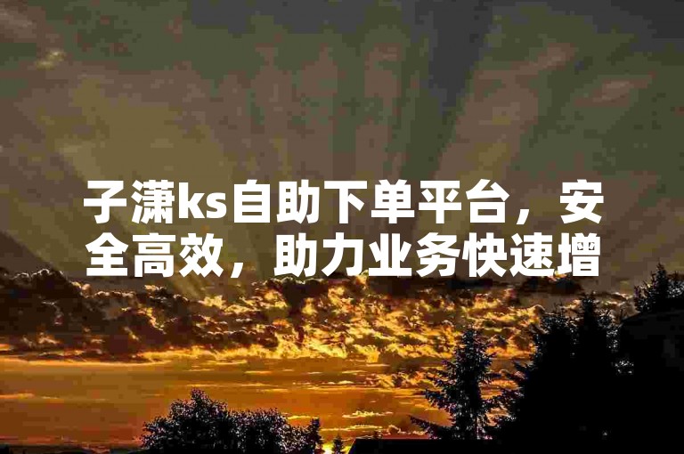 子潇ks自助下单平台，安全高效，助力业务快速增长。