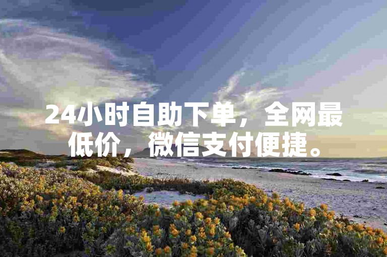 24小时自助下单，全网最低价，微信支付便捷。