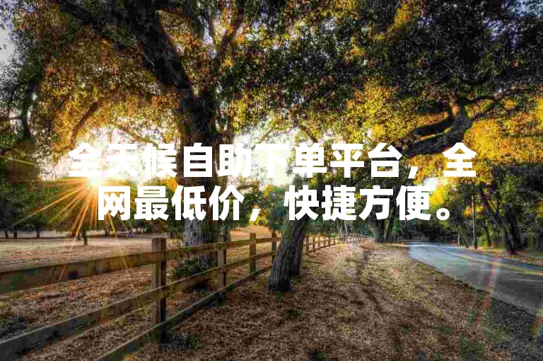 全天候自助下单平台，全网最低价，快捷方便。