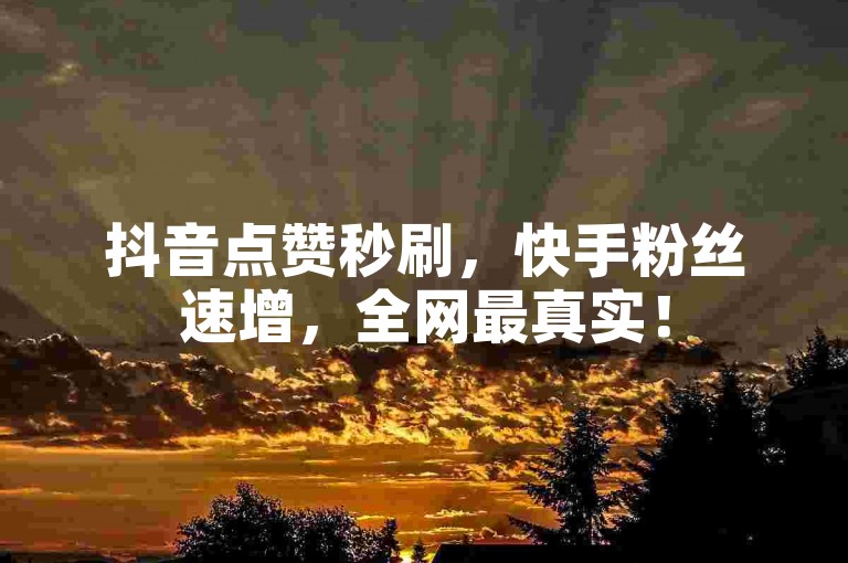 抖音点赞秒刷，快手粉丝速增，全网最真实！