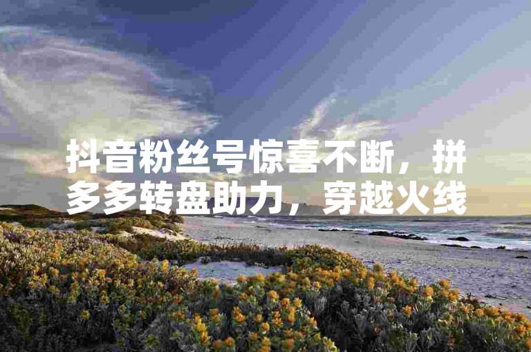 抖音粉丝号惊喜不断，拼多多转盘助力，穿越火线卡网优惠。