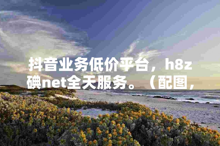 抖音业务低价平台，h8z碘net全天服务。（配图，平台logo.jpg）