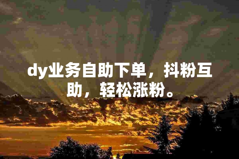 dy业务自助下单，抖粉互助，轻松涨粉。