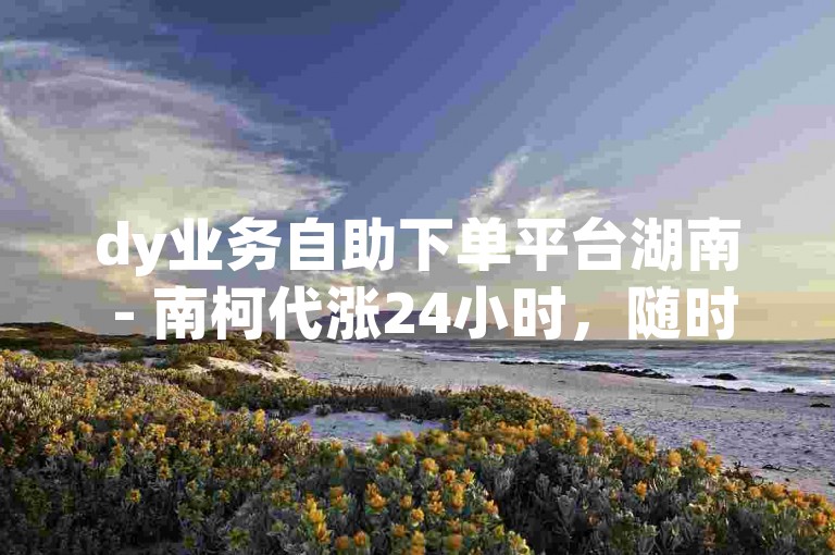 dy业务自助下单平台湖南 - 南柯代涨24小时，随时为您服务。