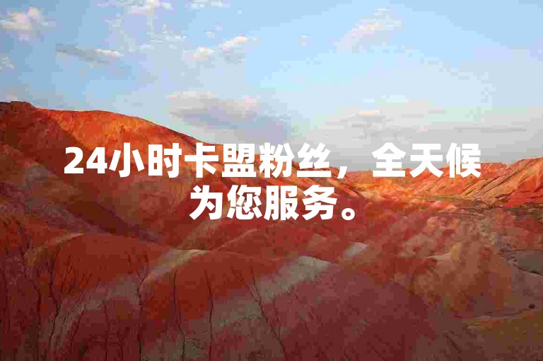24小时卡盟粉丝，全天候为您服务。