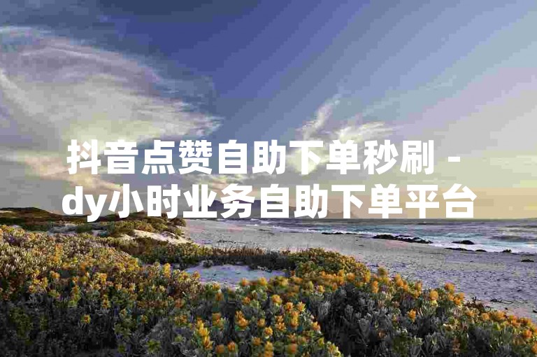 抖音点赞自助下单秒刷 - dy小时业务自助下单平台。