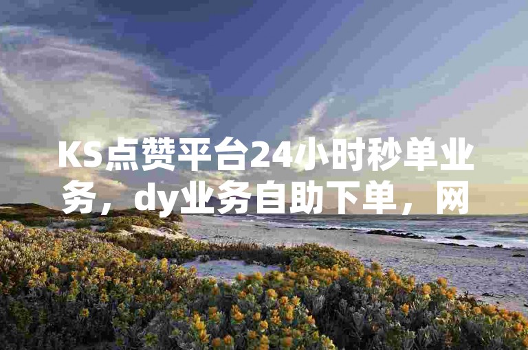 KS点赞平台24小时秒单业务，dy业务自助下单，网课在线下单。