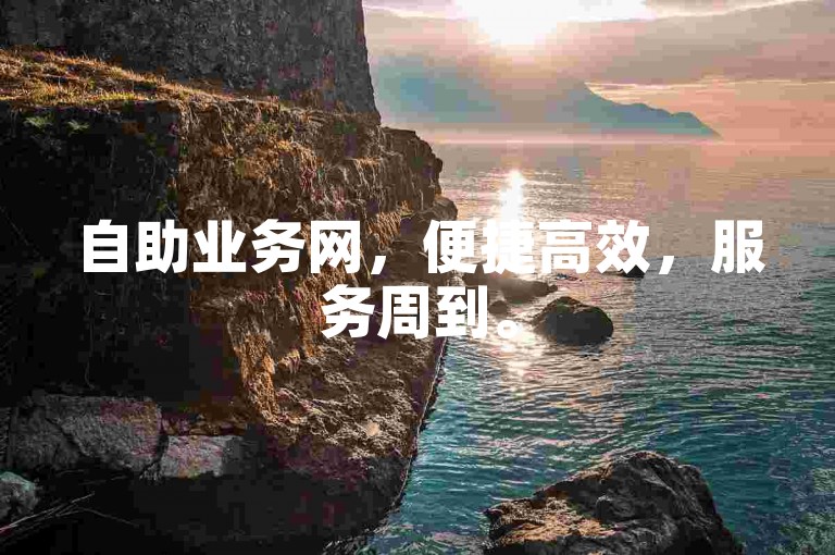 自助业务网，便捷高效，服务周到。
