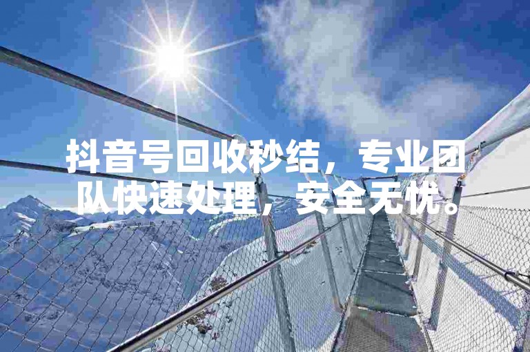 抖音号回收秒结，专业团队快速处理，安全无忧。