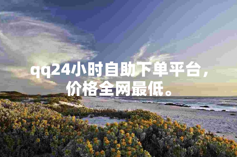 qq24小时自助下单平台，价格全网最低。