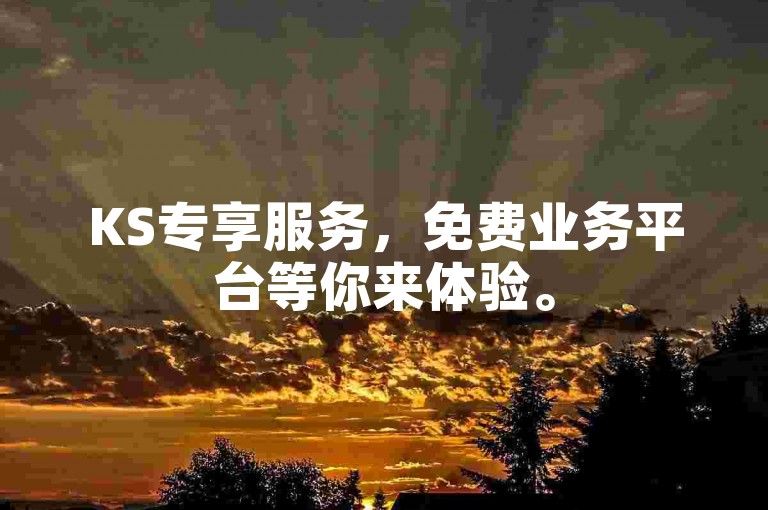 KS专享服务，免费业务平台等你来体验。