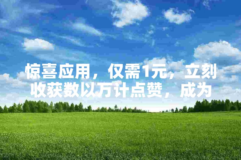 惊喜应用，仅需1元，立刻收获数以万计点赞，成为焦点！