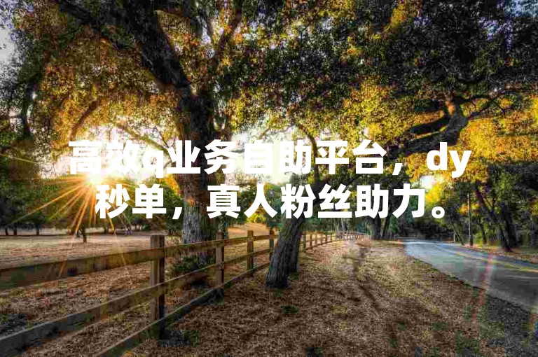 高效q业务自助平台，dy秒单，真人粉丝助力。