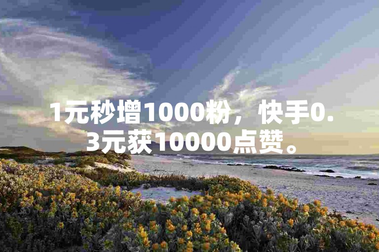 1元秒增1000粉，快手0.3元获10000点赞。