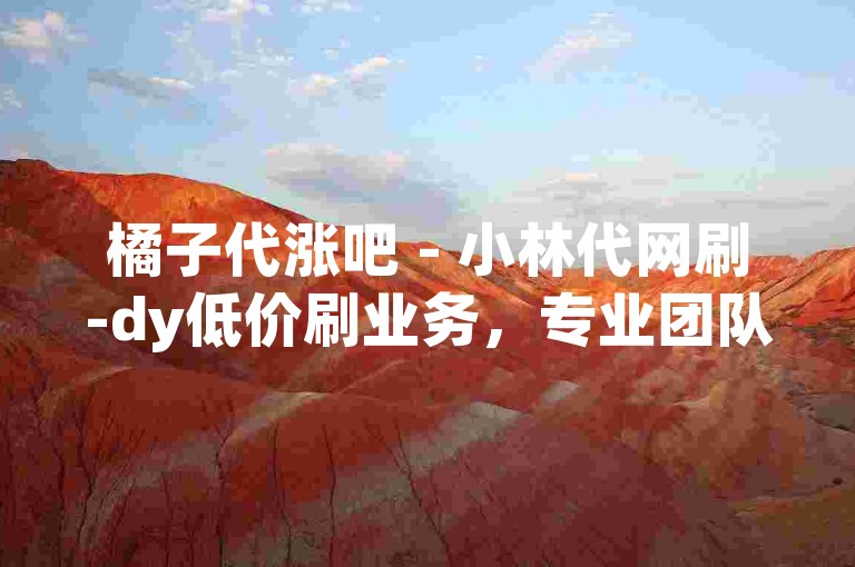 橘子代涨吧 - 小林代网刷-dy低价刷业务，专业团队为您服务。