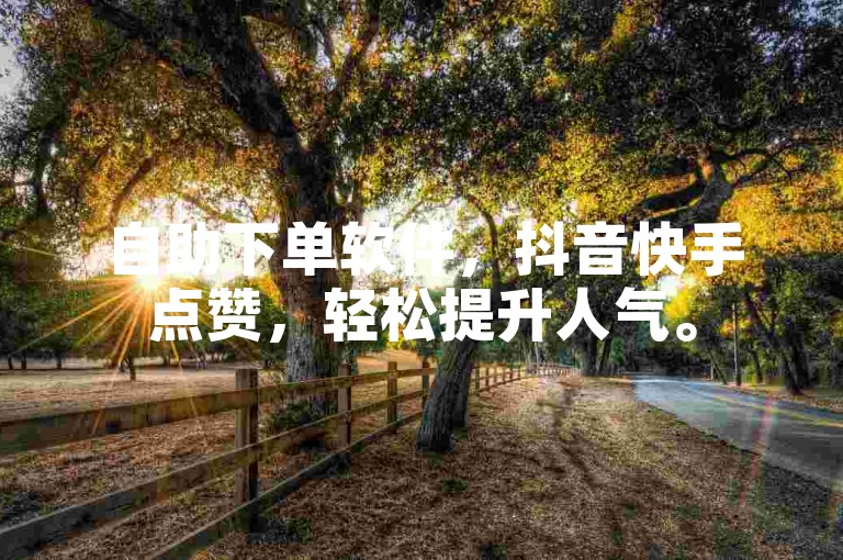 自助下单软件，抖音快手点赞，轻松提升人气。
