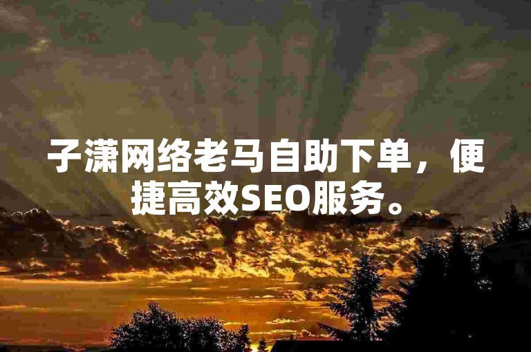 子潇网络老马自助下单，便捷高效SEO服务。