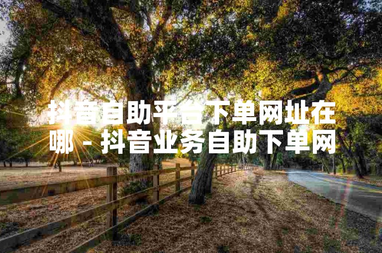 抖音自助平台下单网址在哪 - 抖音业务自助下单网站。