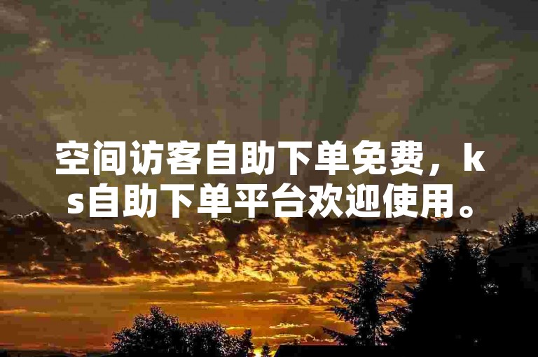 空间访客自助下单免费，ks自助下单平台欢迎使用。