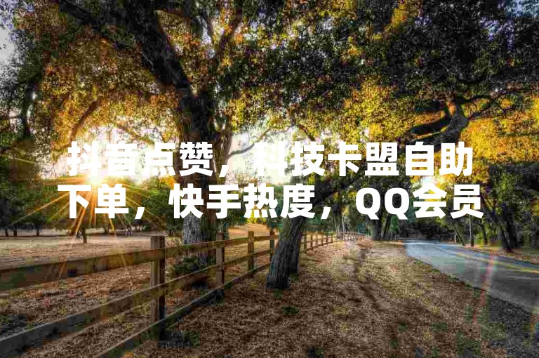 抖音点赞，科技卡盟自助下单，快手热度，QQ会员低价开通。