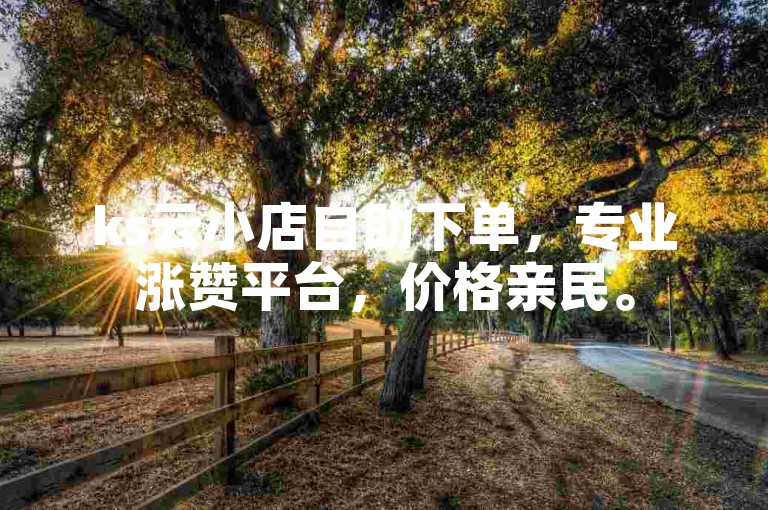 ks云小店自助下单，专业涨赞平台，价格亲民。