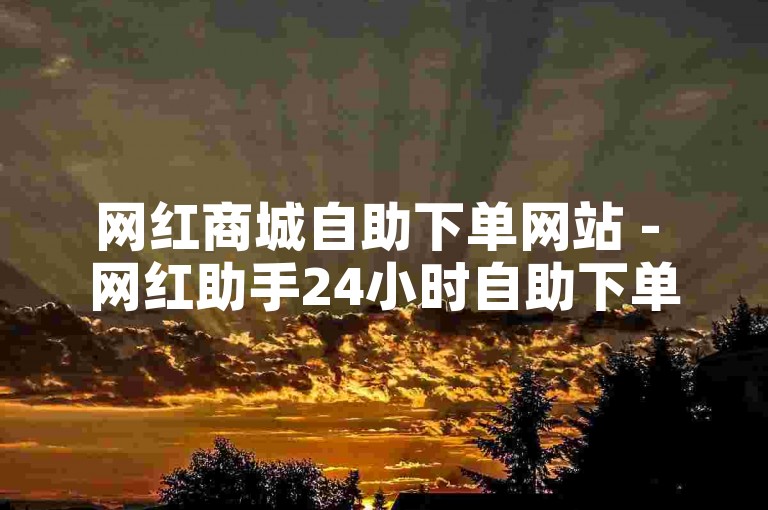 网红商城自助下单网站 - 网红助手24小时自助下单平台