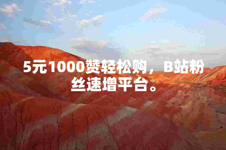 5元1000赞轻松购，B站粉丝速增平台。