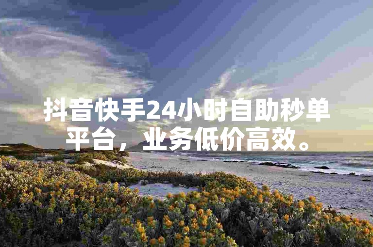 抖音快手24小时自助秒单平台，业务低价高效。