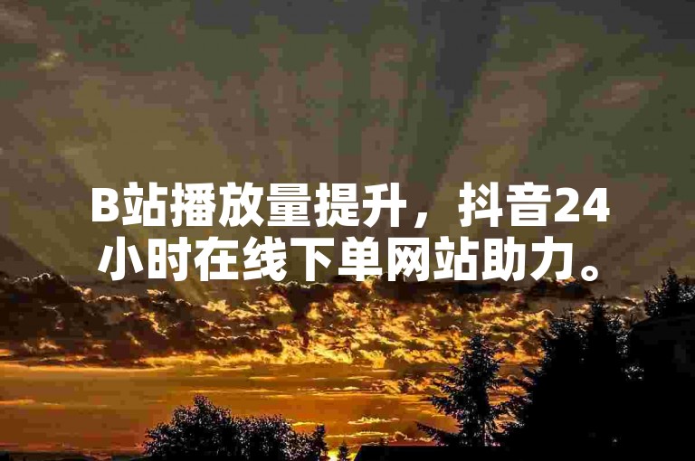B站播放量提升，抖音24小时在线下单网站助力。