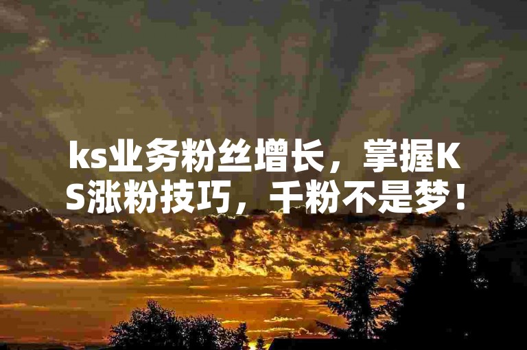 ks业务粉丝增长，掌握KS涨粉技巧，千粉不是梦！