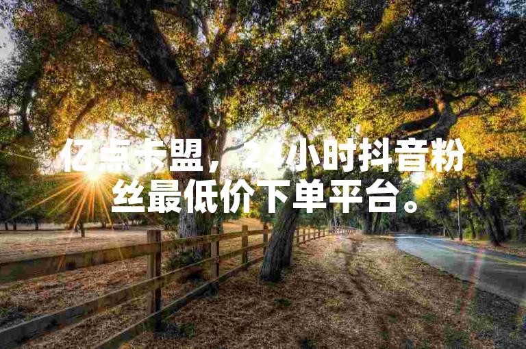 亿点卡盟，24小时抖音粉丝最低价下单平台。
