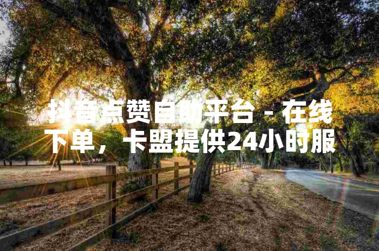 抖音点赞自助平台 - 在线下单，卡盟提供24小时服务。