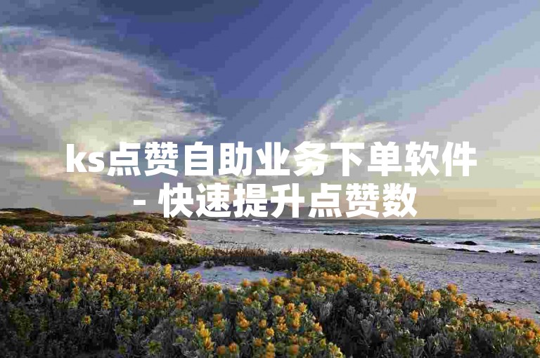 ks点赞自助业务下单软件 - 快速提升点赞数