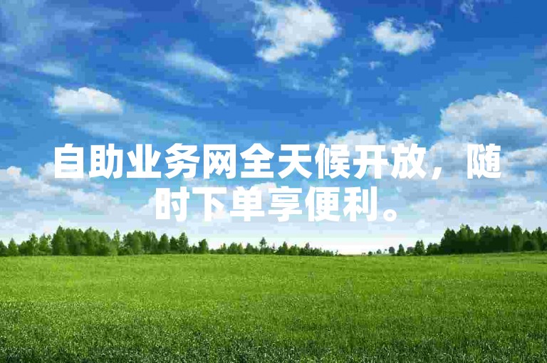 自助业务网全天候开放，随时下单享便利。