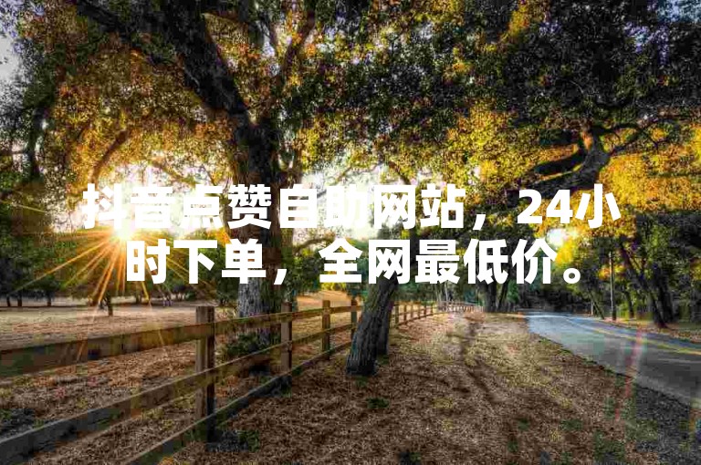 抖音点赞自助网站，24小时下单，全网最低价。