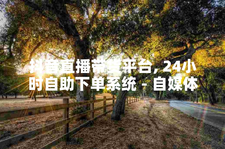 抖音直播带货平台, 24小时自助下单系统 - 自媒体账号交易。