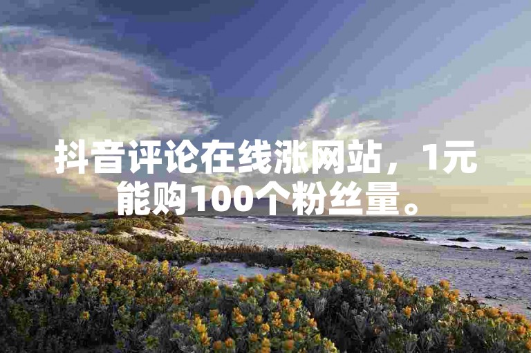 抖音评论在线涨网站，1元能购100个粉丝量。