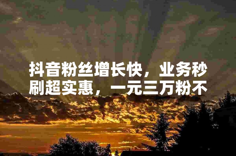 抖音粉丝增长快，业务秒刷超实惠，一元三万粉不掉。