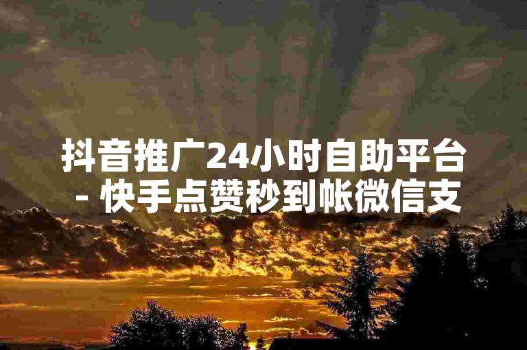 抖音推广24小时自助平台 - 快手点赞秒到帐微信支付