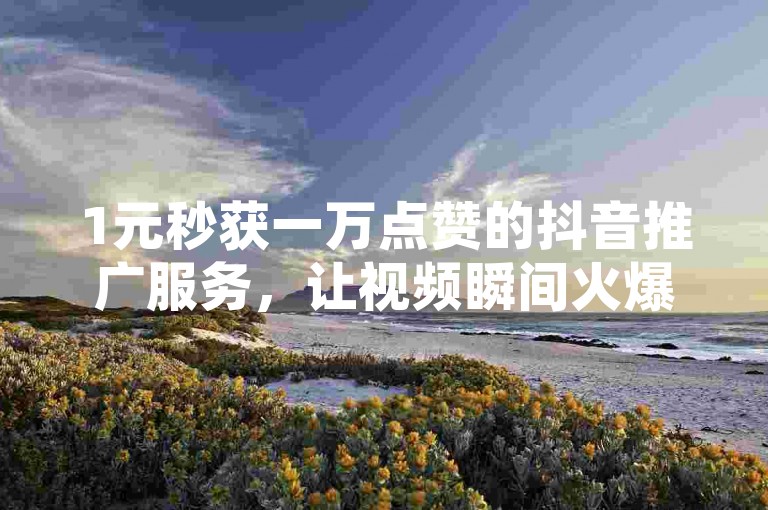 1元秒获一万点赞的抖音推广服务，让视频瞬间火爆网络。