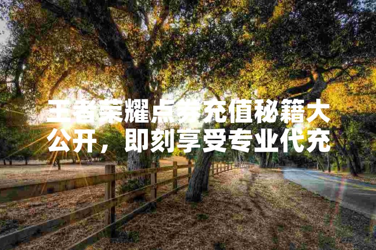 王者荣耀点券充值秘籍大公开，即刻享受专业代充服务，轻松获取点券，畅游王者世界！2025年必备技巧。