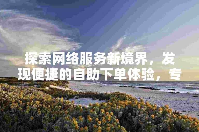 探索网络服务新境界，发现便捷的自助下单体验，专为追求效率的您设计。