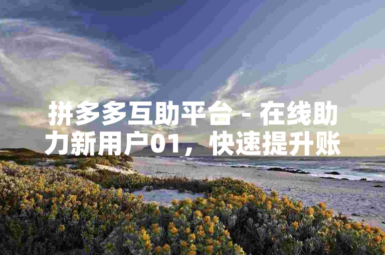 拼多多互助平台 - 在线助力新用户01，快速提升账号活跃度。