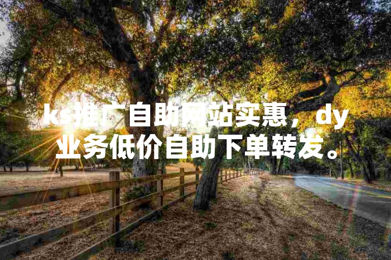 ks推广自助网站实惠，dy业务低价自助下单转发。