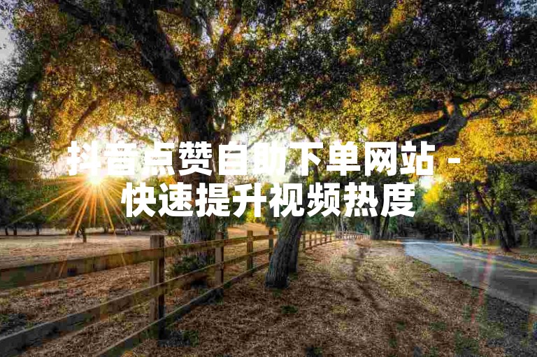 抖音点赞自助下单网站 - 快速提升视频热度