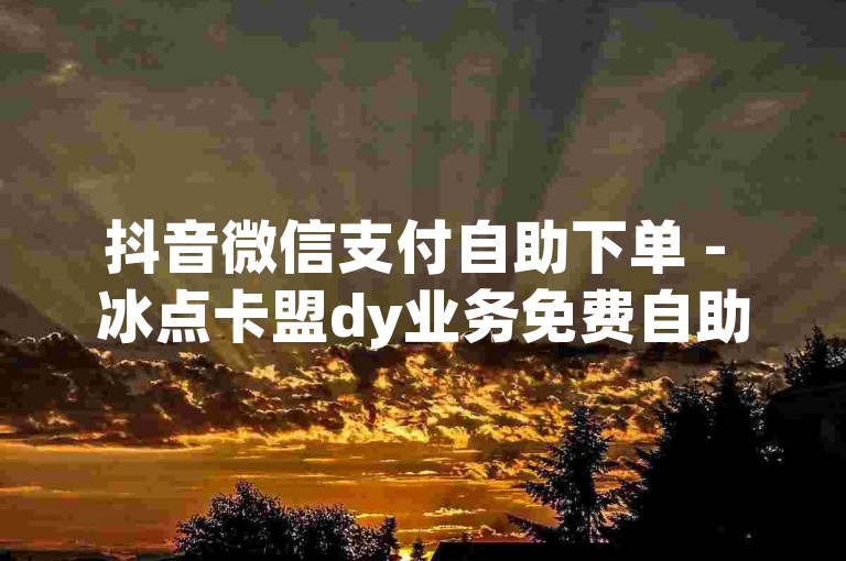 抖音微信支付自助下单 - 冰点卡盟dy业务免费自助下单