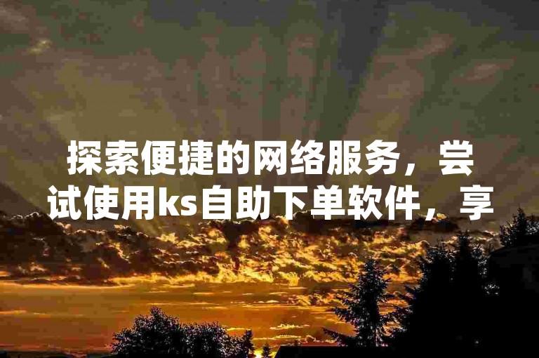 探索便捷的网络服务，尝试使用ks自助下单软件，享受dy活动自助下单业务平台带来的高效体验。