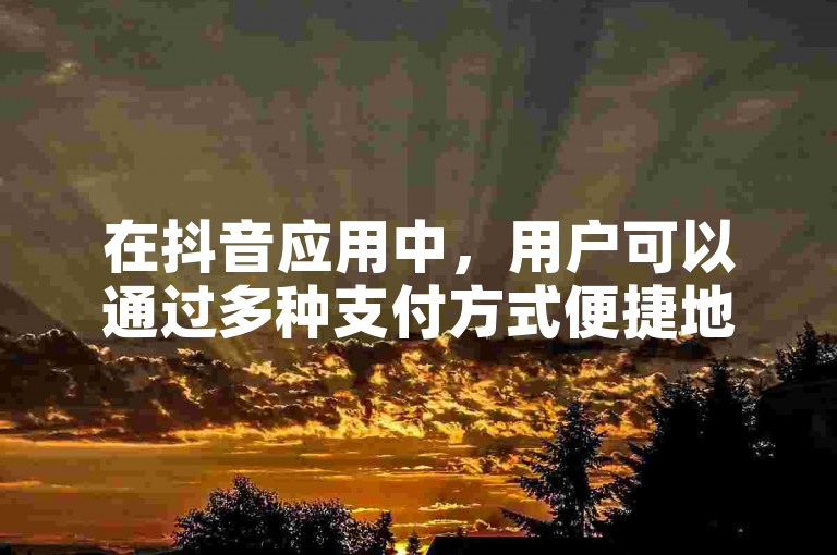 在抖音应用中，用户可以通过多种支付方式便捷地为账户充值抖币。