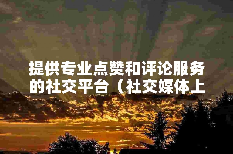 提供专业点赞和评论服务的社交平台（社交媒体上广受欢迎的点赞评论服务工具）